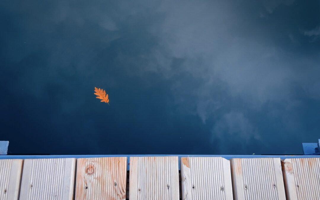 leaf in fall weather pool